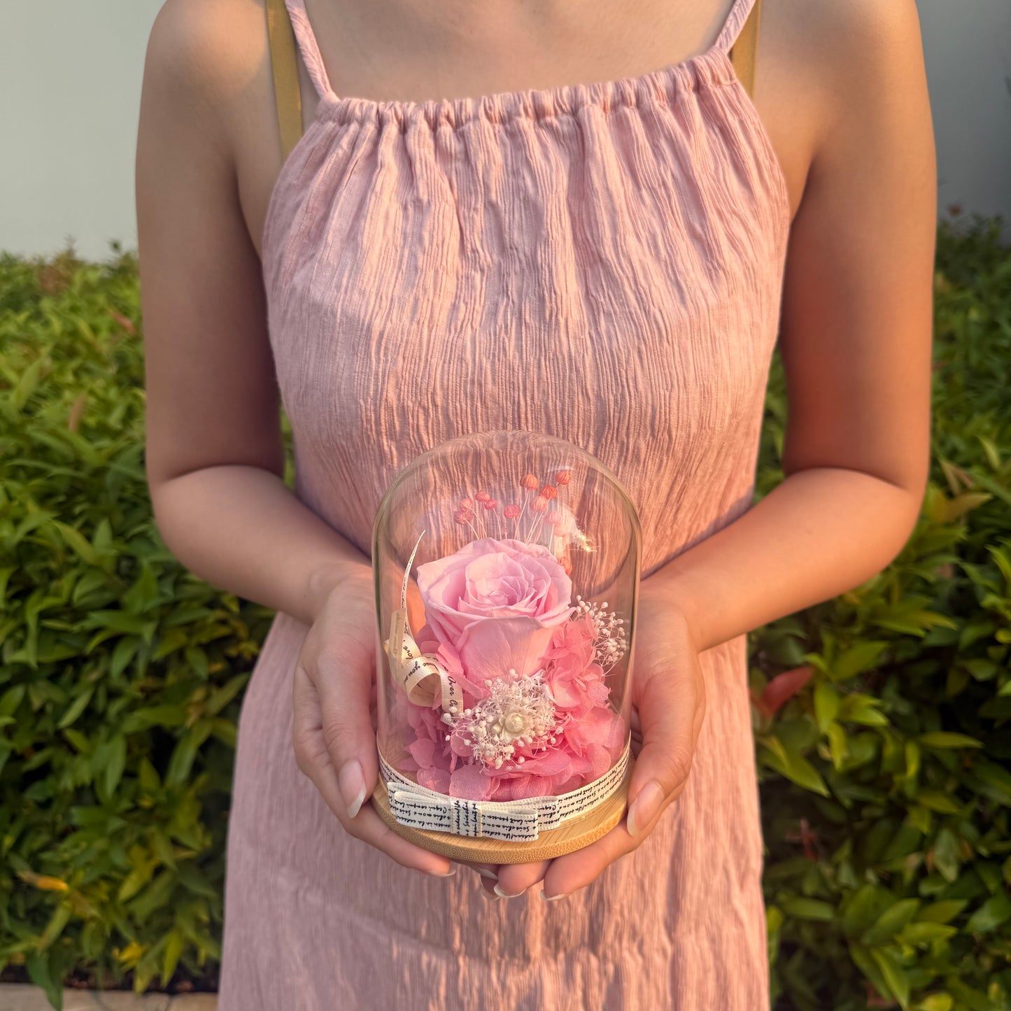 ดอกกุหลาบ โดมเล็กพรีเมี่ยม