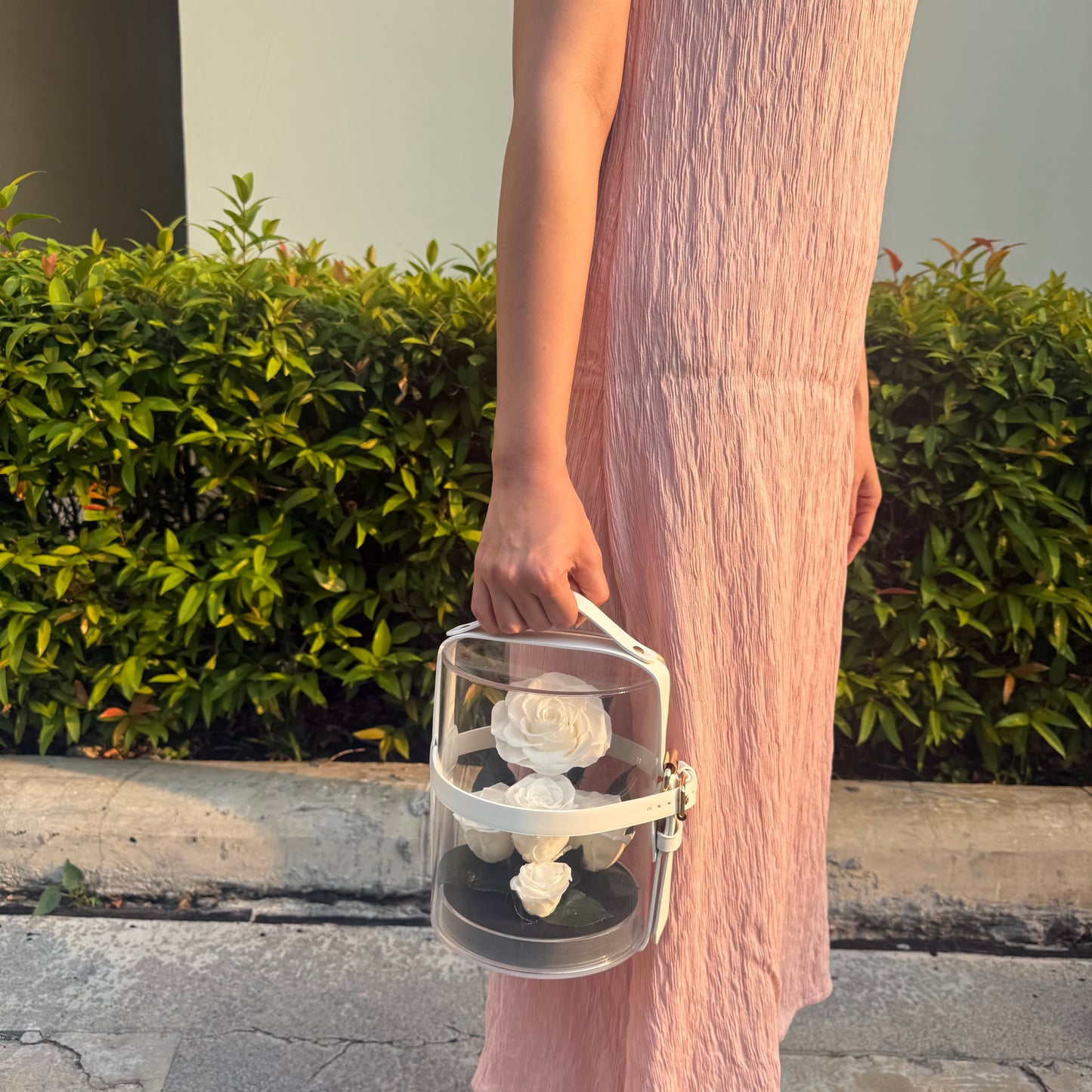 ดอกกุหลาบ โดมกระเป๋าอมตะ