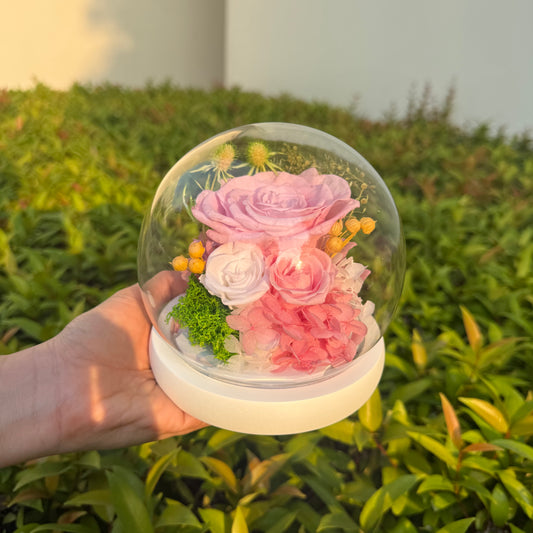 โดมกุหลาบอมตะ 3 ดอก