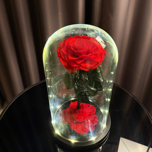 โดมกุหลาบอมตะ มีไฟ