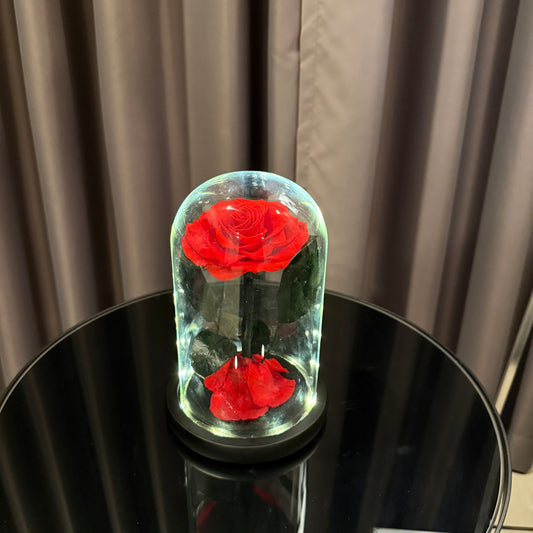 โดมกุหลาบอมตะ มีไฟ