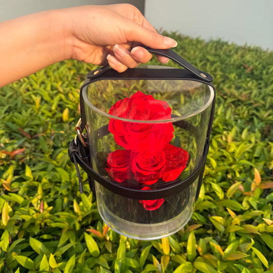 ดอกกุหลาบอมตะ โดมกระเป๋า