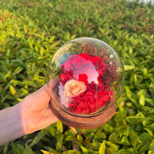 โดมกุหลาบอมตะ 3 ดอก